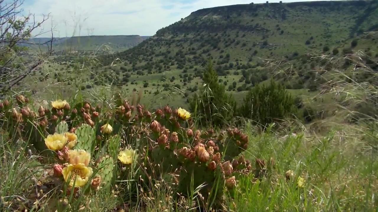 Black Mesa Hike link