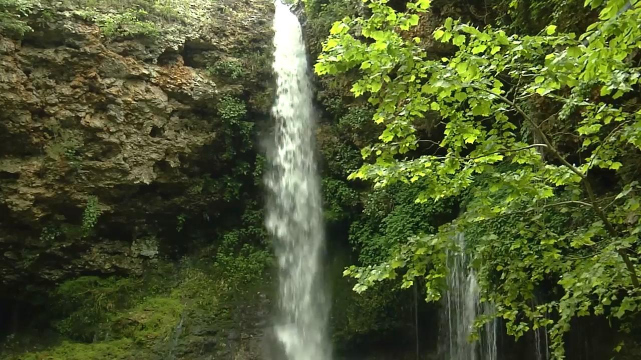 Natural Falls State Park - Yurts