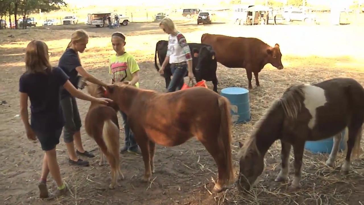 Loomis Thunder Valley Petting Zoo link