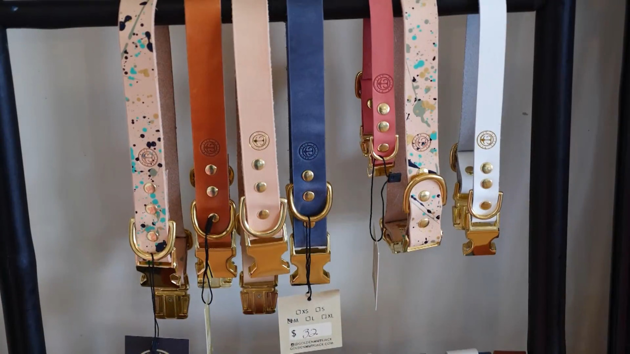 Golden Mutt Jack link