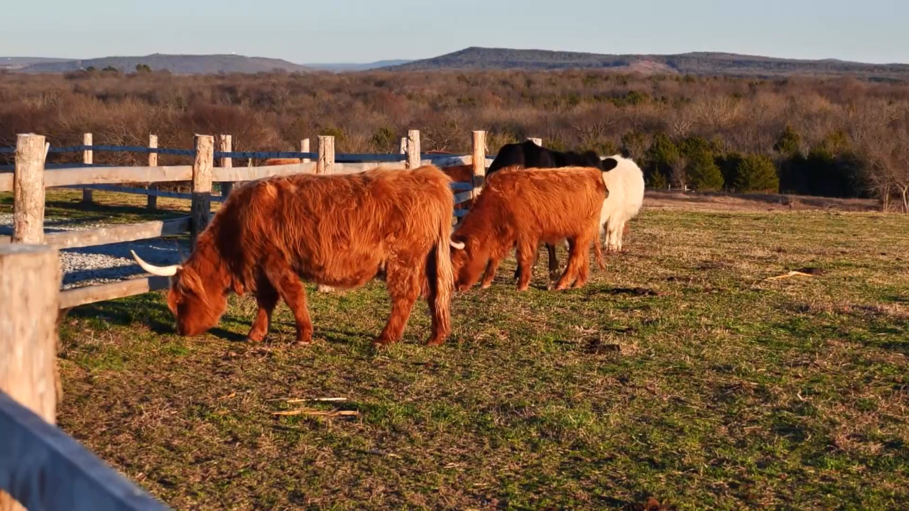 Simply Country Ranch link