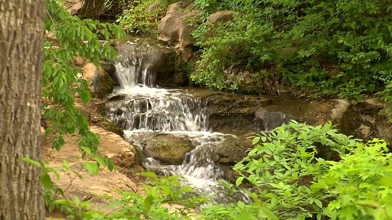 Chickasaw National Recreation Area link