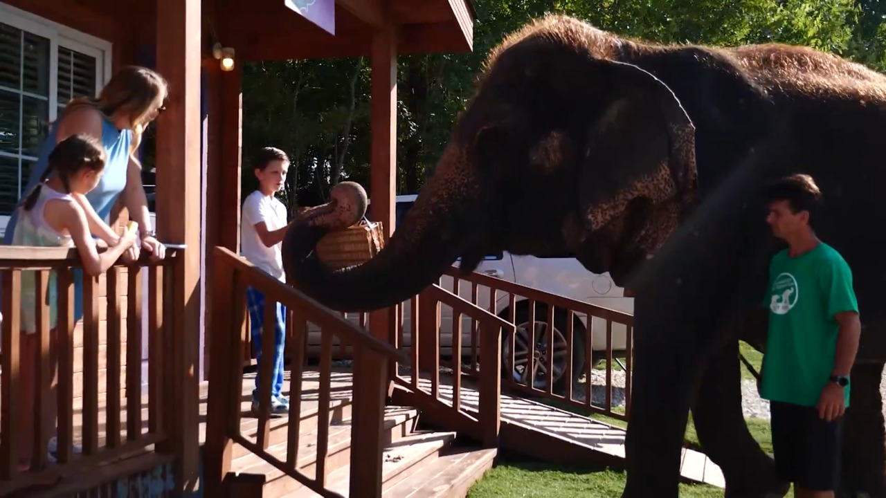 Oklahoma Awesome Adventures link