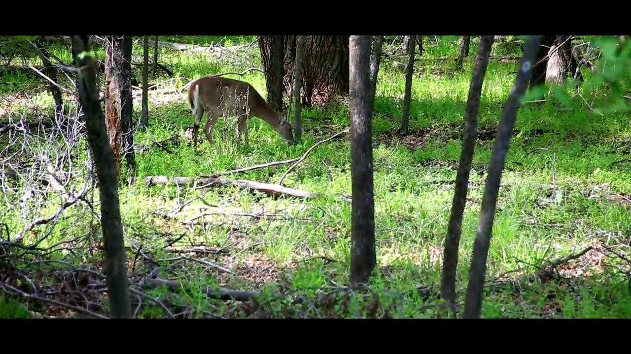 Oxley Nature Center link