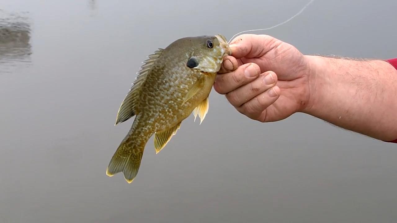 Knot Tying Videos  Oklahoma Department of Wildlife Conservation