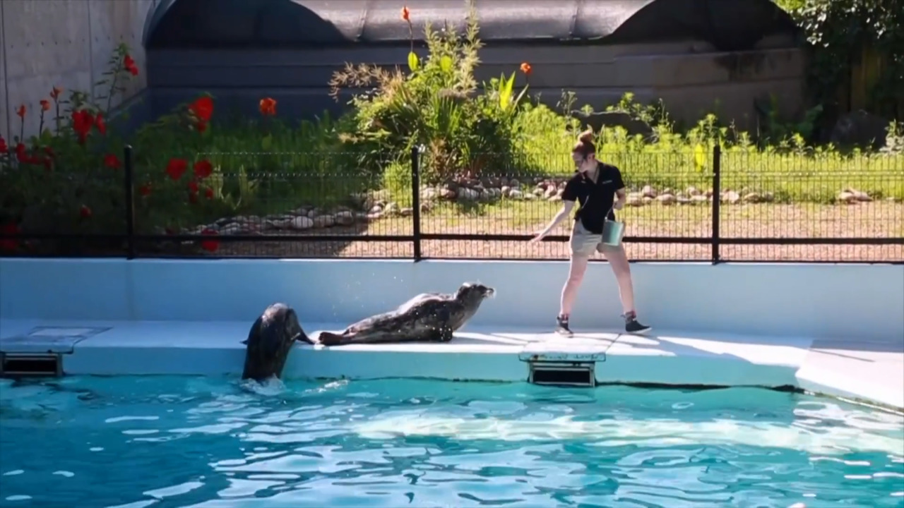 "Breakfast with Animals" at the Oklahoma City Zoo & Botanical Garden link