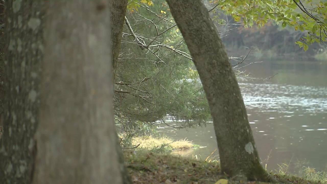 Beavers Bend State Park link