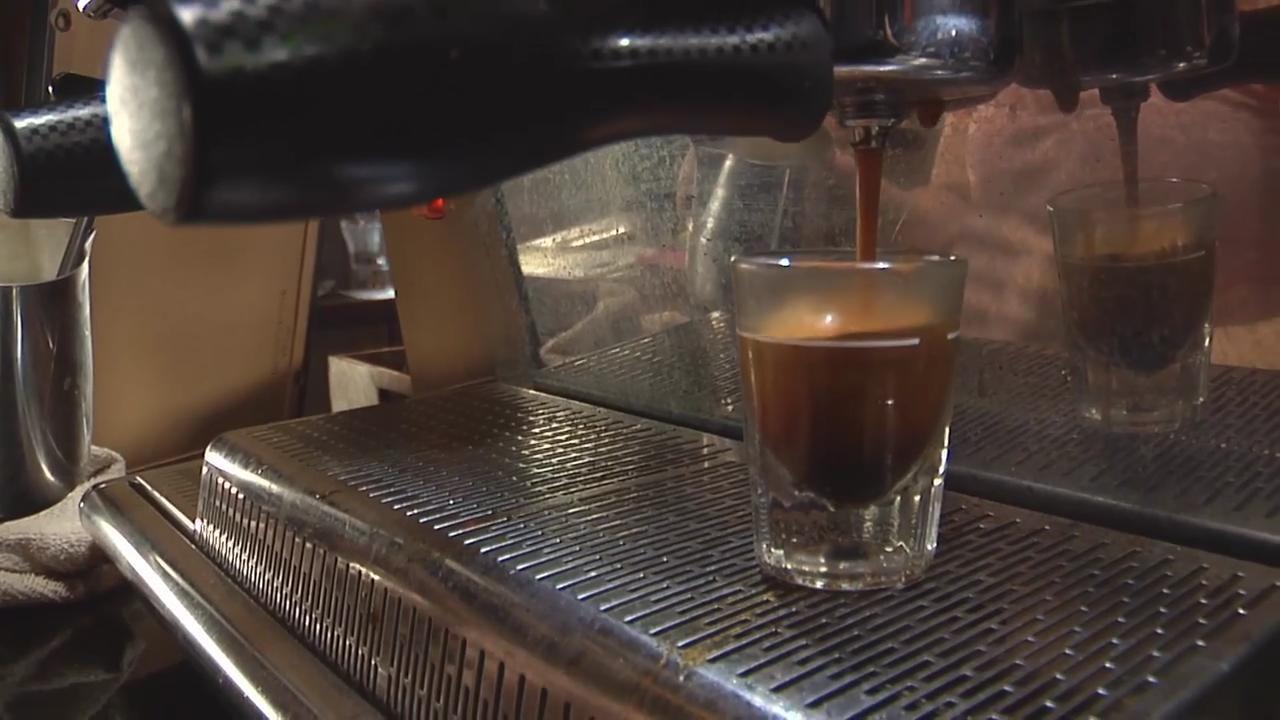 The Bearded Dog link