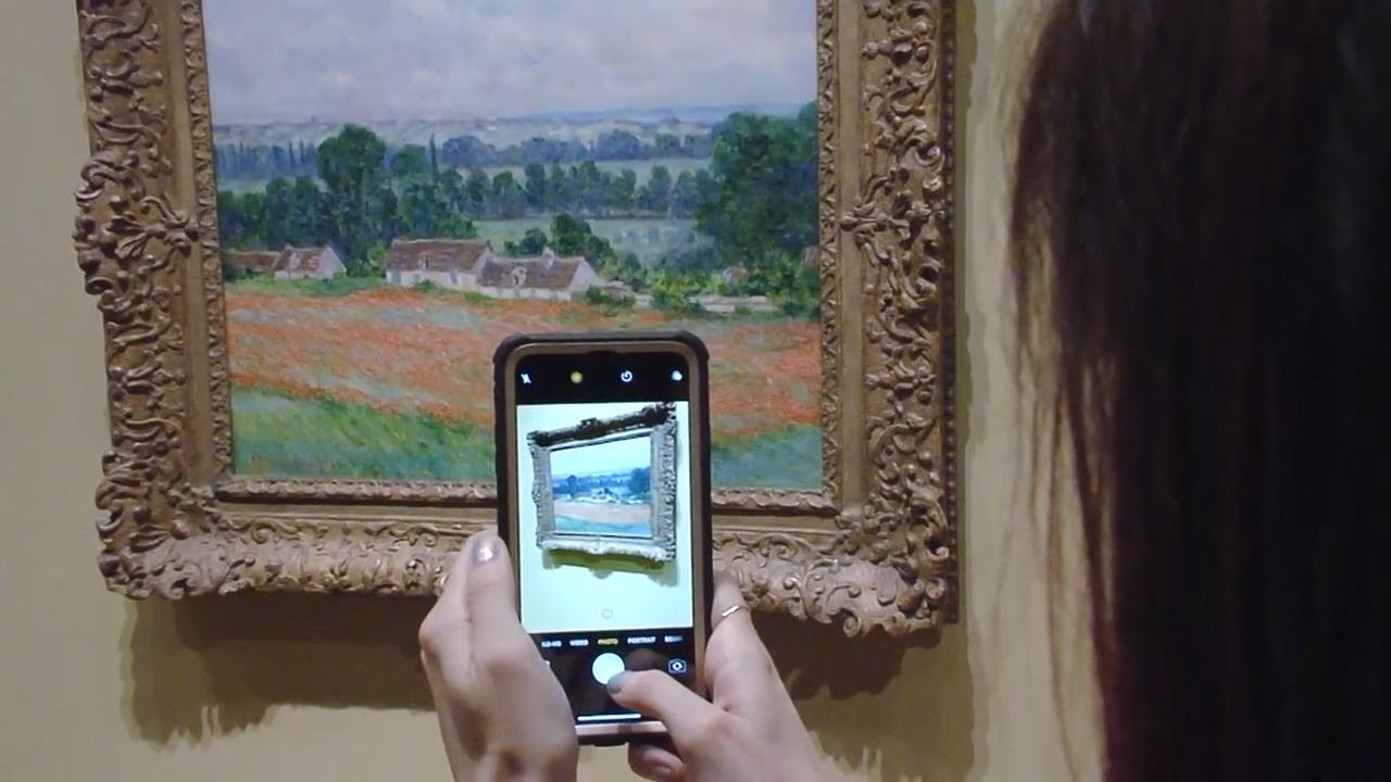 The Van Gogh, Monet, Degas Exhibition at the OKCMOA link