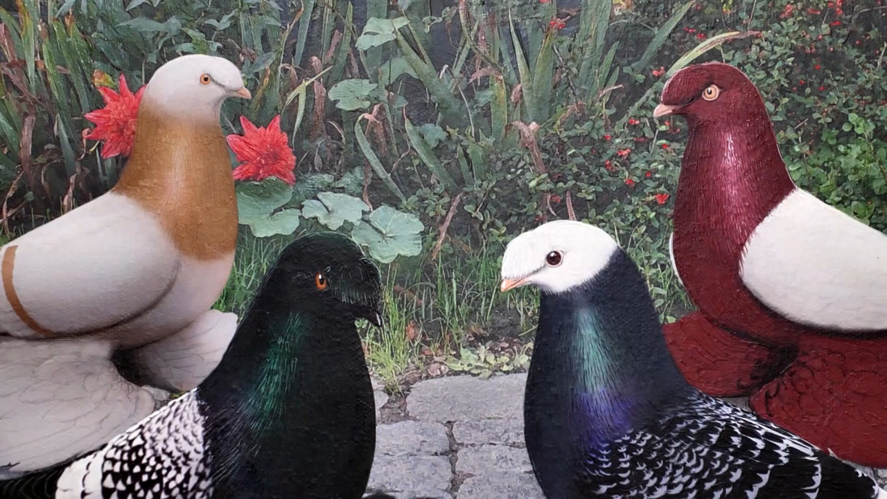 American Pigeon Museum & Library link