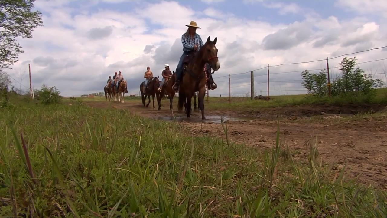 Arbuckle Trail Rides link