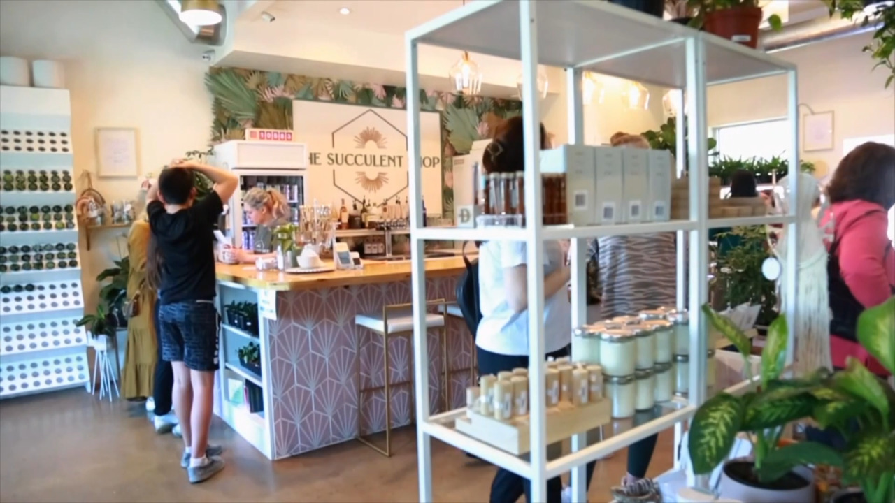 The Succulent Shop link