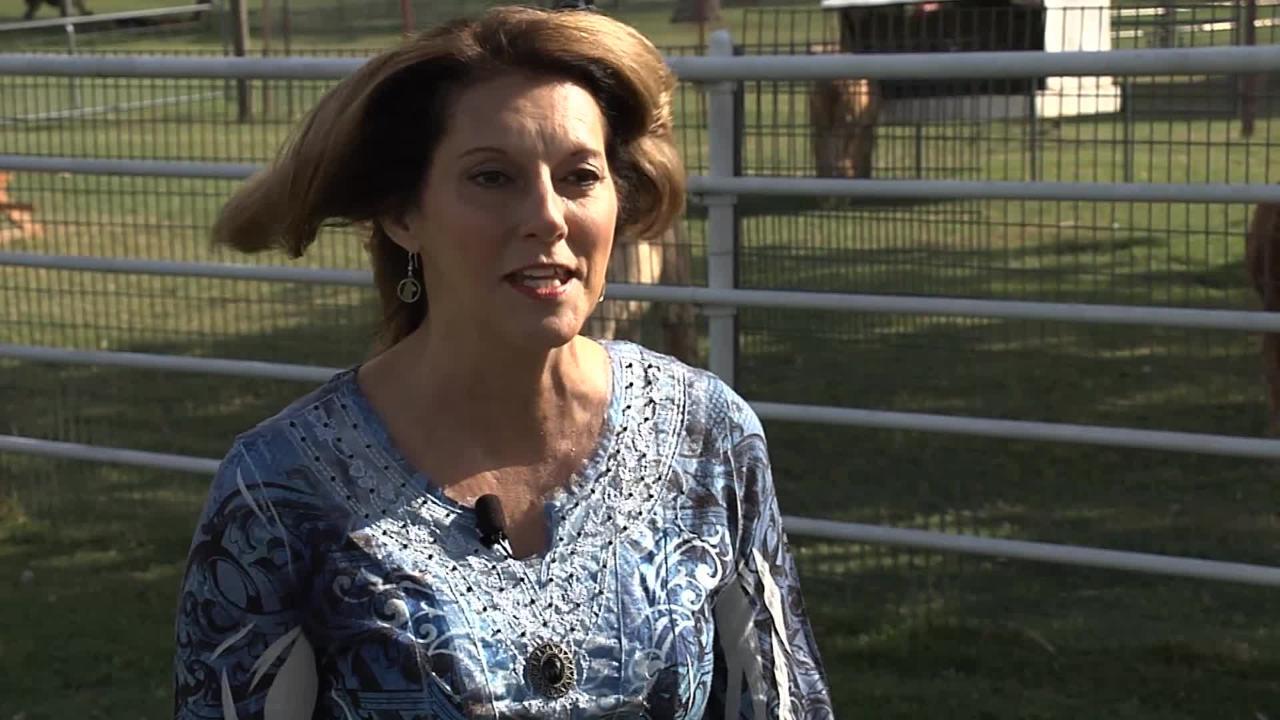 Rock’n D Alpaca Farm link