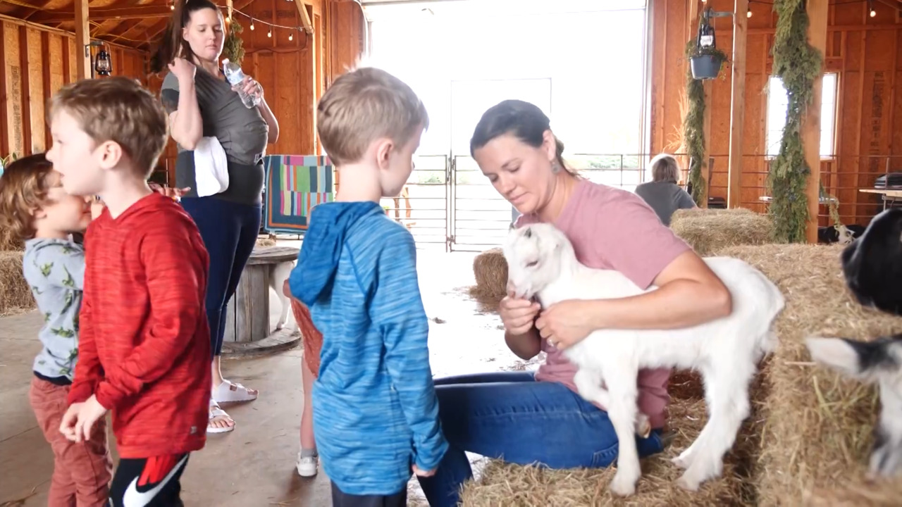 Bearded Doe and Company/Paige Farm link
