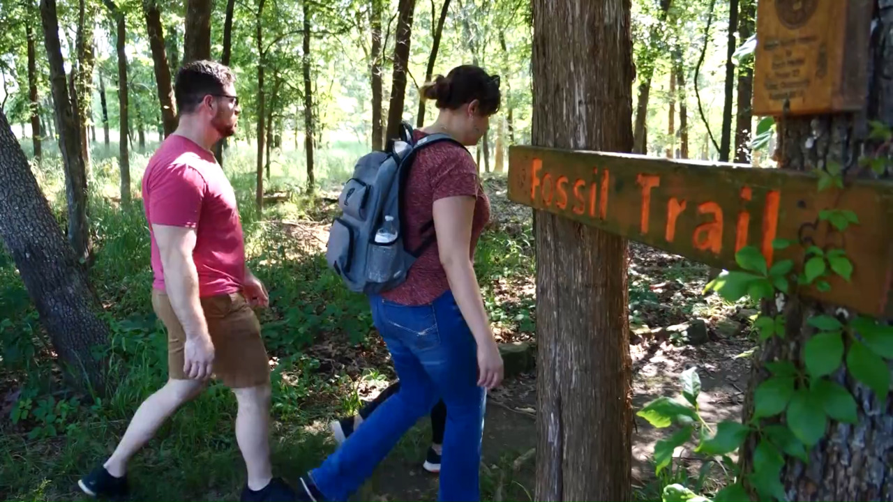 Sequoyah State Park Trail System link