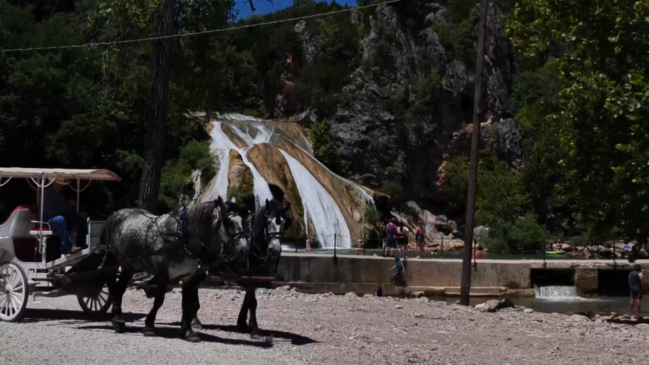 4D Carriage Services link