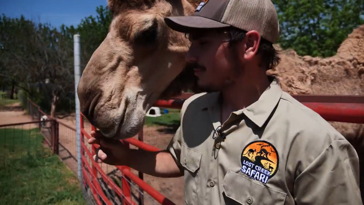 Lost Creek Safari link