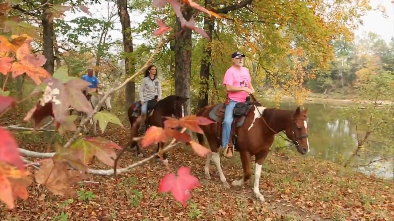 Riverman Trail Rides and Stables link