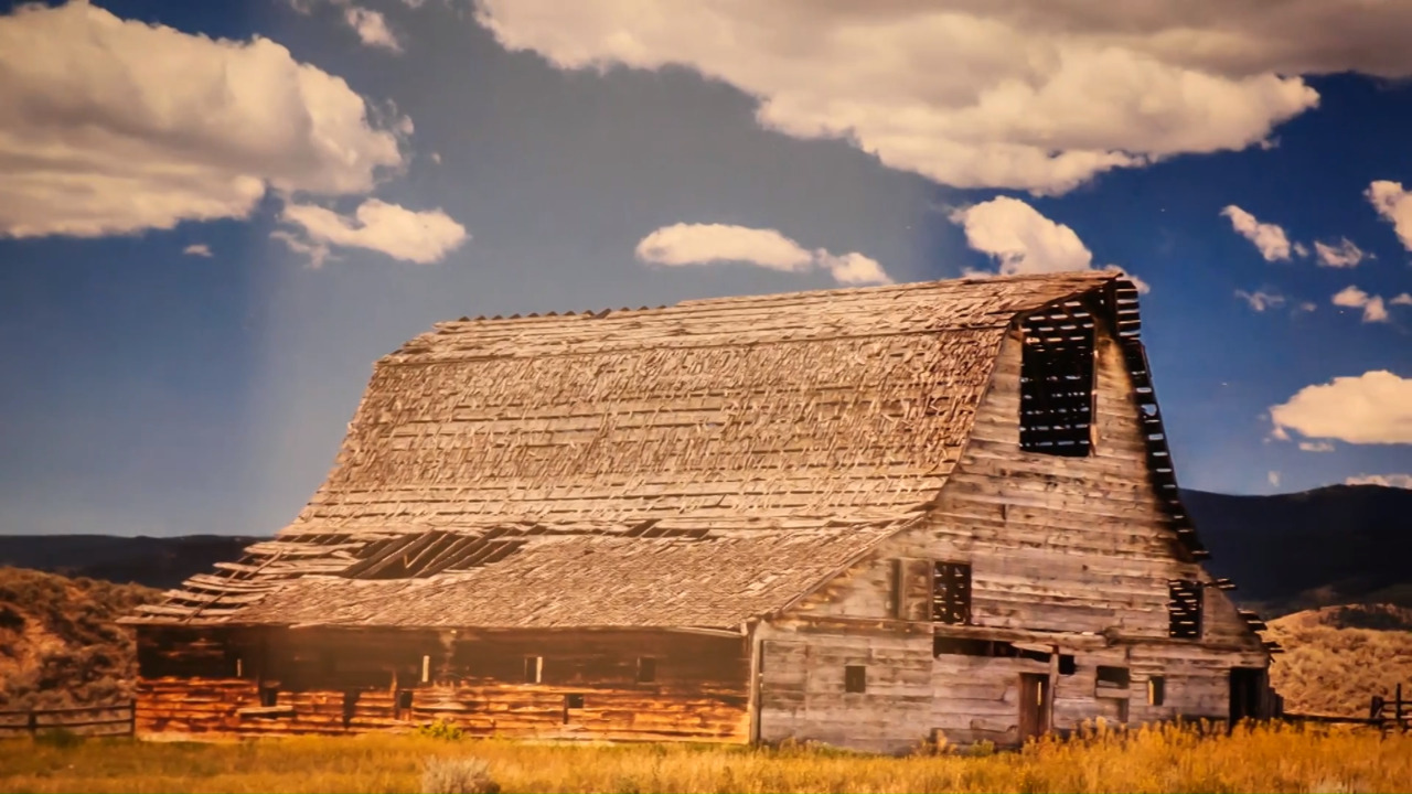 Leslie Powell Gallery link