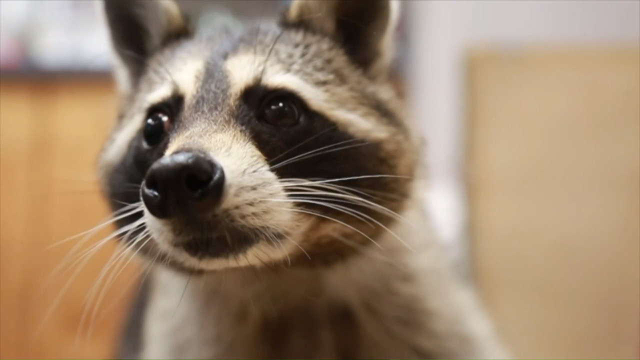The Nature Center at Bernice State Park link