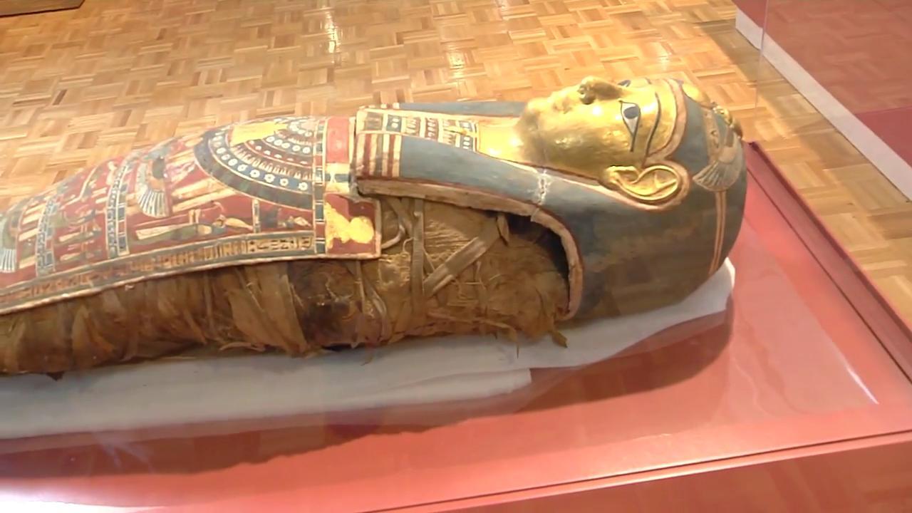 Mabee-Gerrer Museum of Art