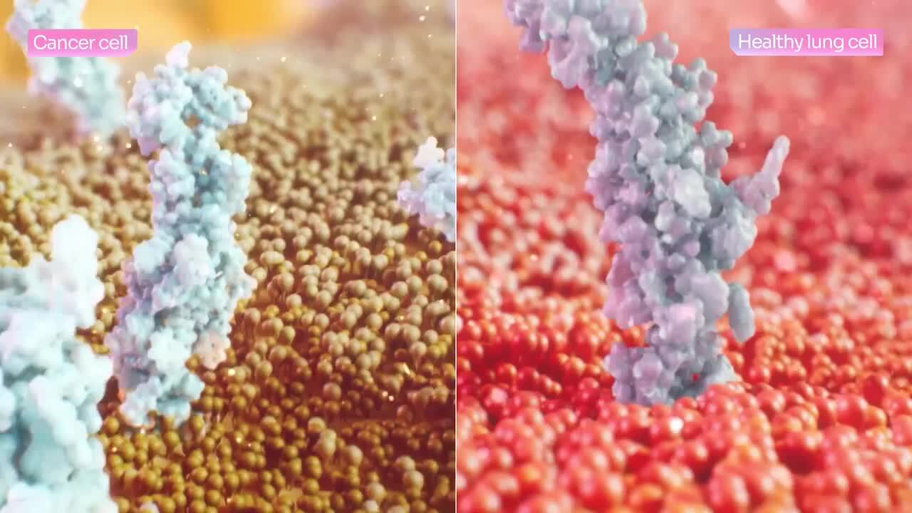 SOLID TUMORS