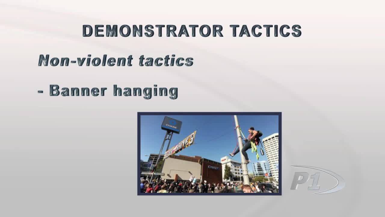Video Crowd Control Demonstrator Tactics