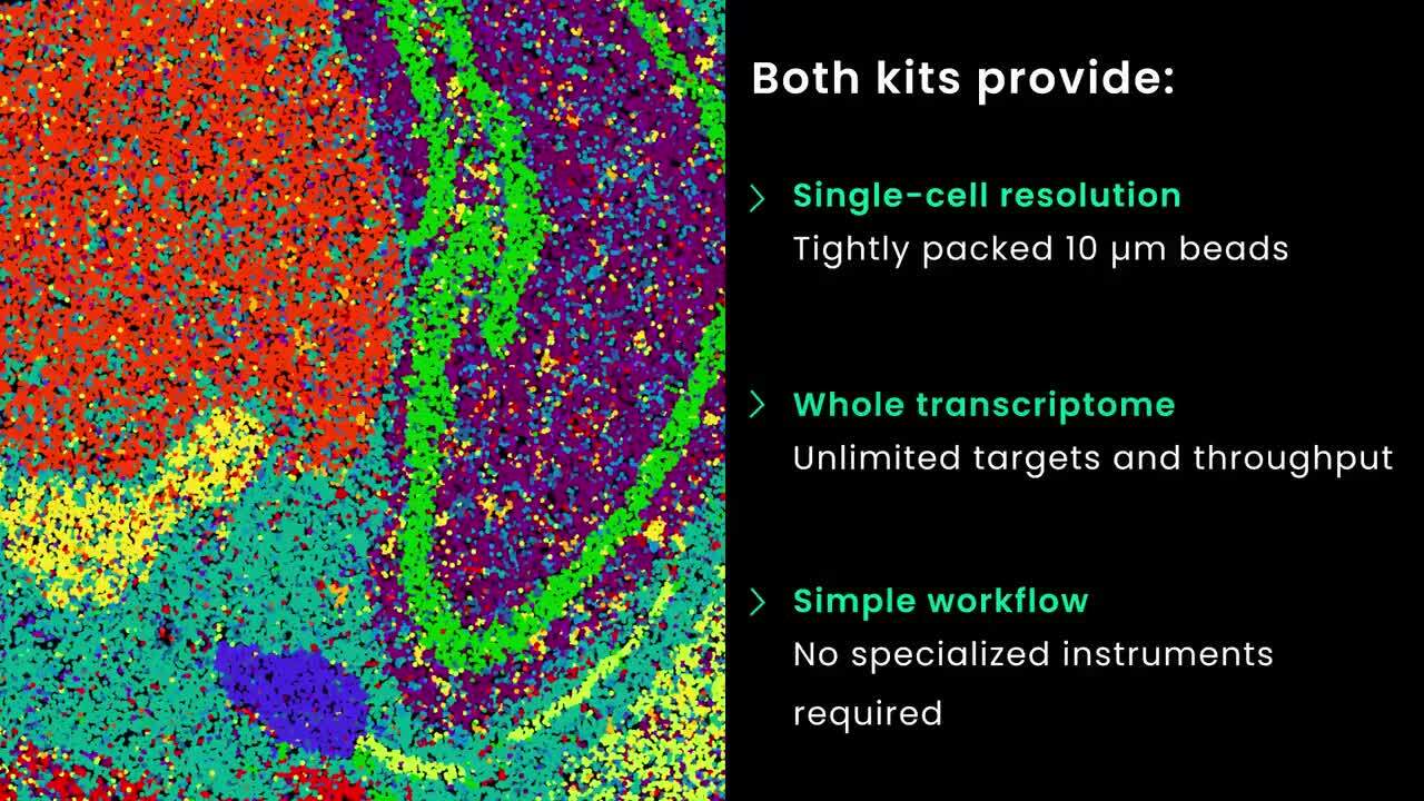 Unlock spatial transcriptomic mapping with Curio Seeker