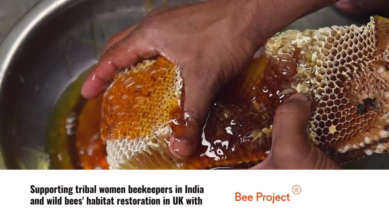 III. Benefits of Habitat Restoration for Bees