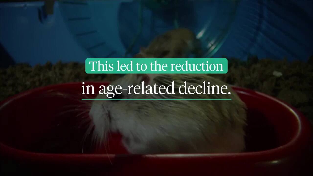 How staying active may protect the brain as it ages