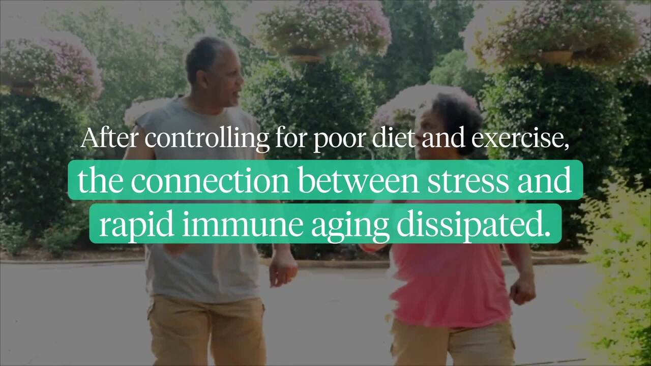 Social stress speeds up aging of immune system