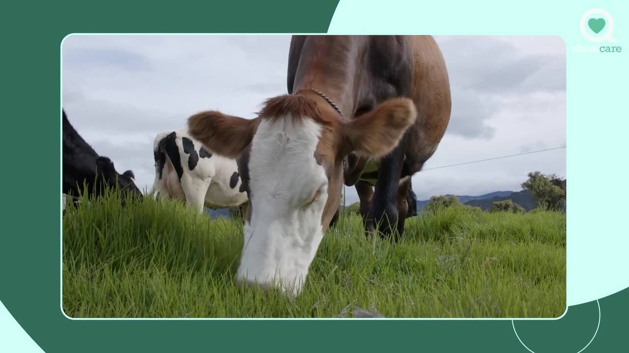 Why organic milk is best