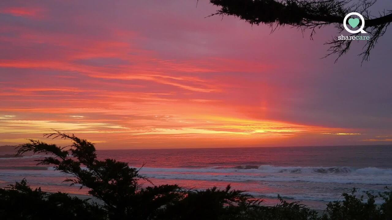 Wash your worries away on carmel beach, california