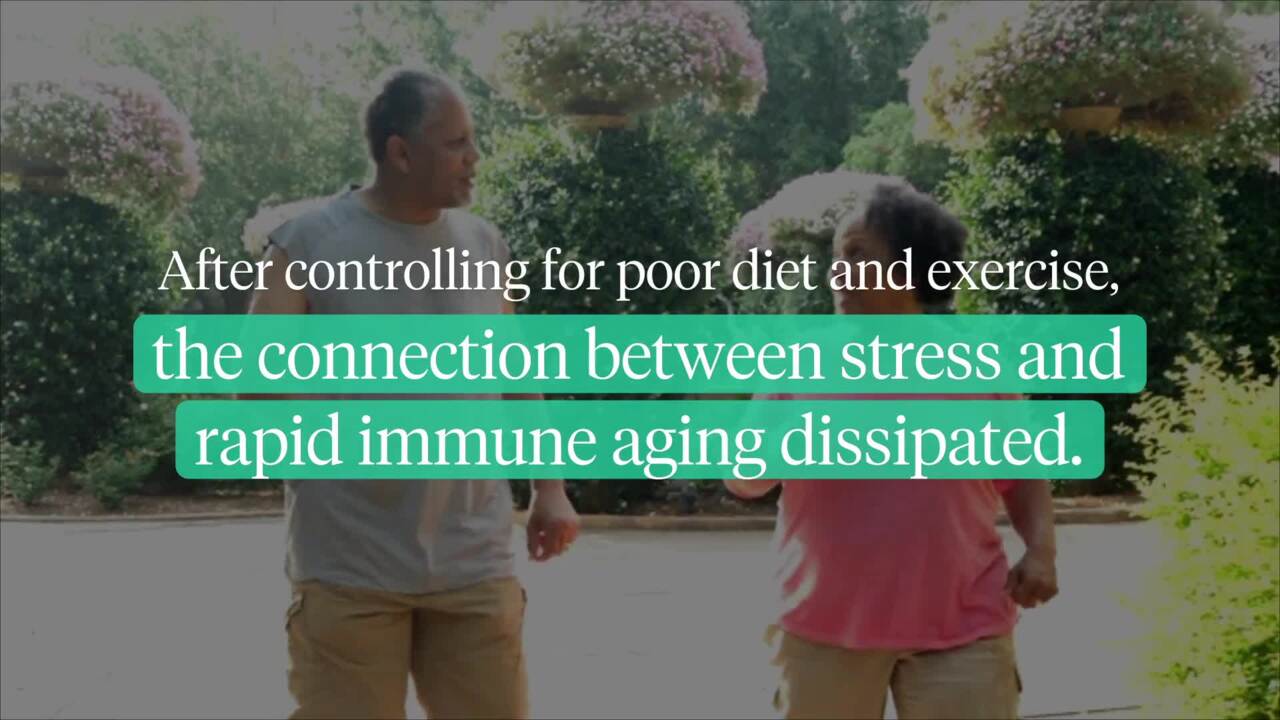 Social stress speeds up aging of immune system, study says