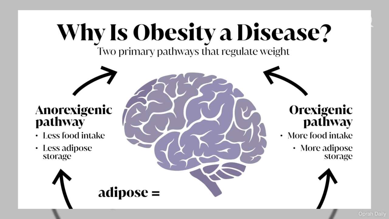 Oprah talks about obesity as a disease and weight loss drugs in panel discussion