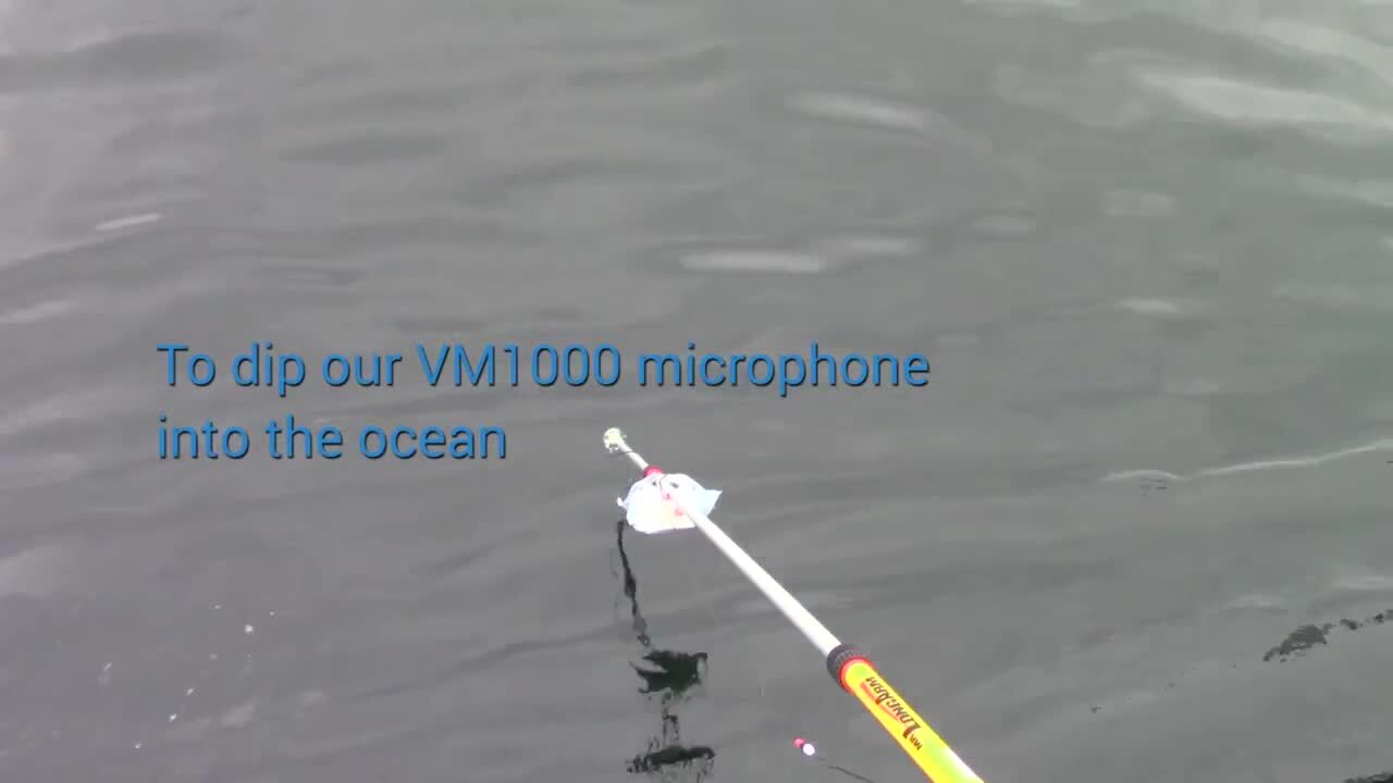 Hear Underwater Whale Sounds with Vesper’s Tiny Waterproof MEMS Microphone