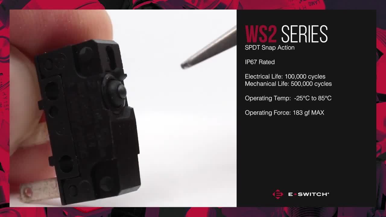 WS2 Snap-Action Switch - E-Bits
