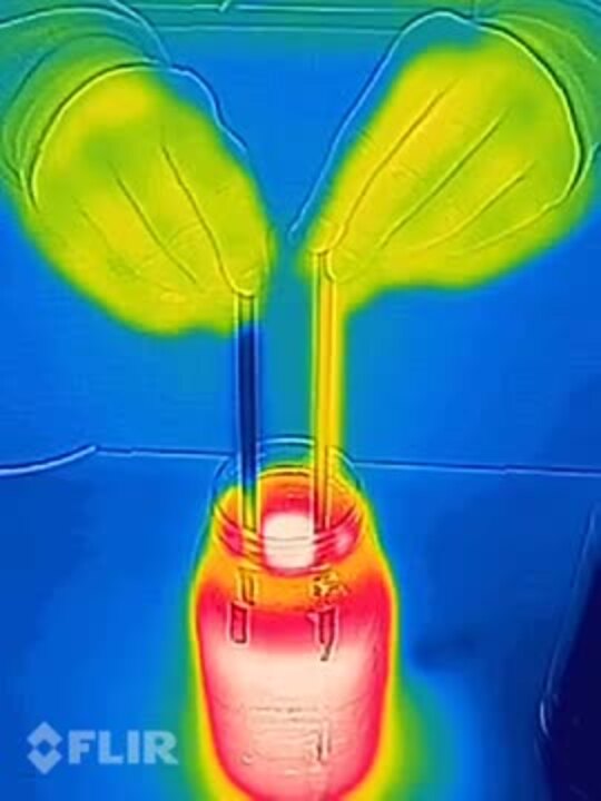 Metal Rod vs. Heat Pipe