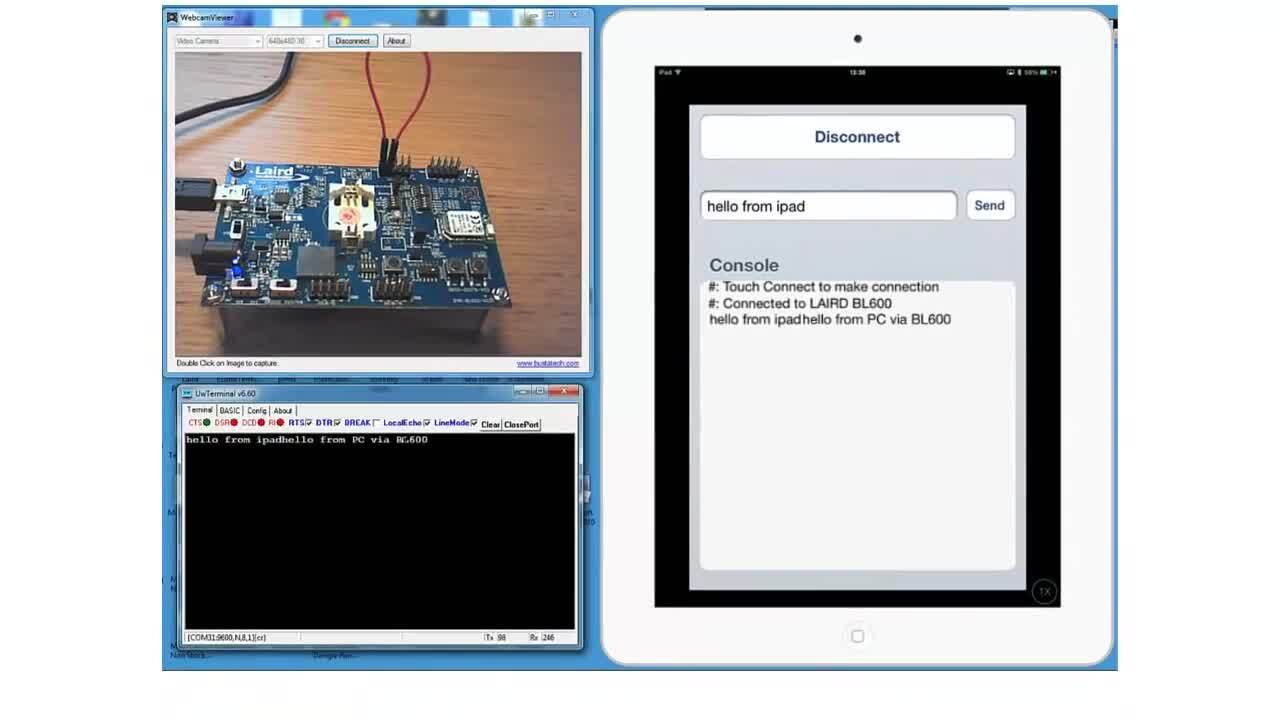 Virtual Serial Port (vSP) Demo from Laird