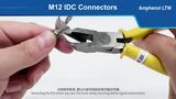 M12 IDC Connectors