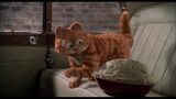 Garfield: A Tail Of Two Kitties