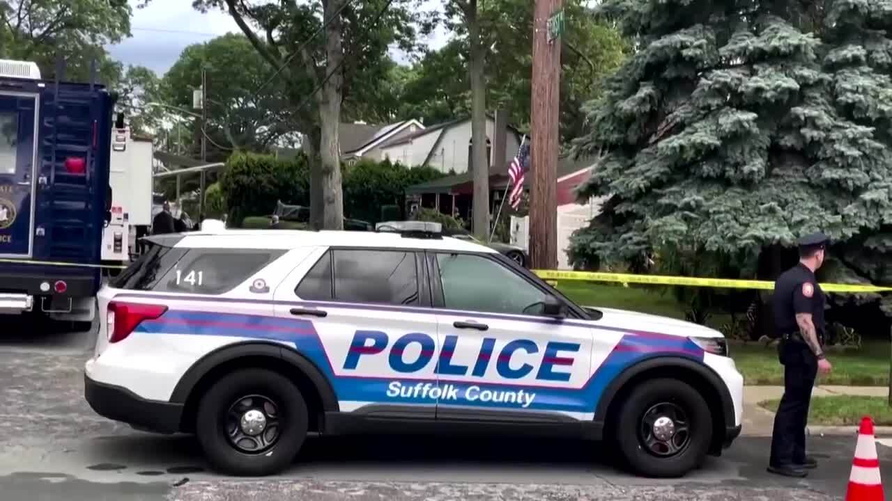Leurre DRT POLICE Couleur HN Shad, Rare Et épuisé ! Fabriqué Au Japon, Neuf Sous Boîte
