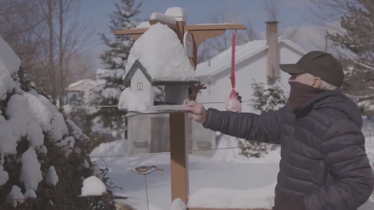 La Derniere Maison Le Cri Du Cœur D Annie Soleil Proteau Jdm