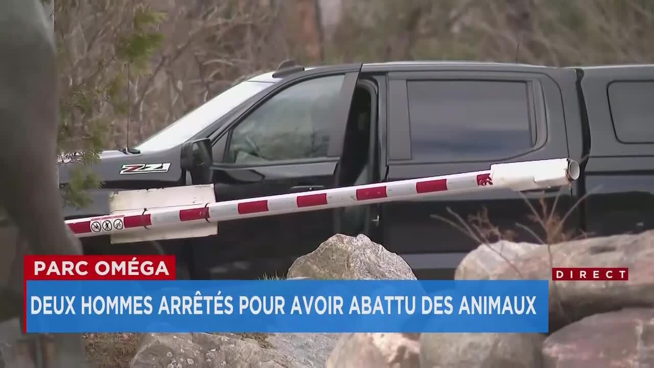 Plusieurs animaux abattus par des intrus au Parc Om ga explications 17h