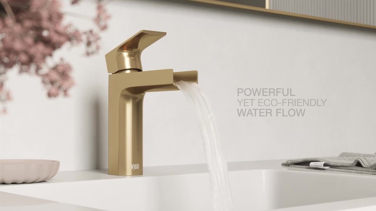 VIGO Ileana Single Handle Single-Hole Bathroom Faucet in Matte