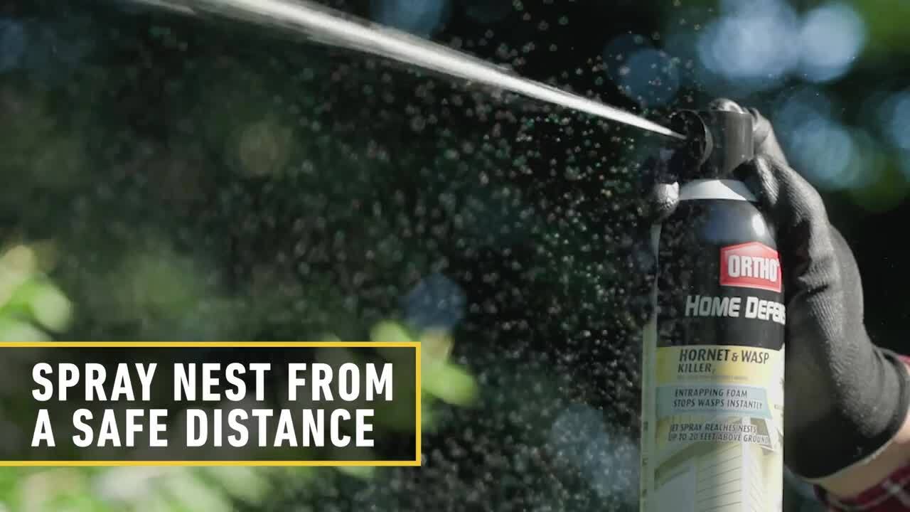 Home Defense Hornet and Wasp Killer - Thumbnail 5