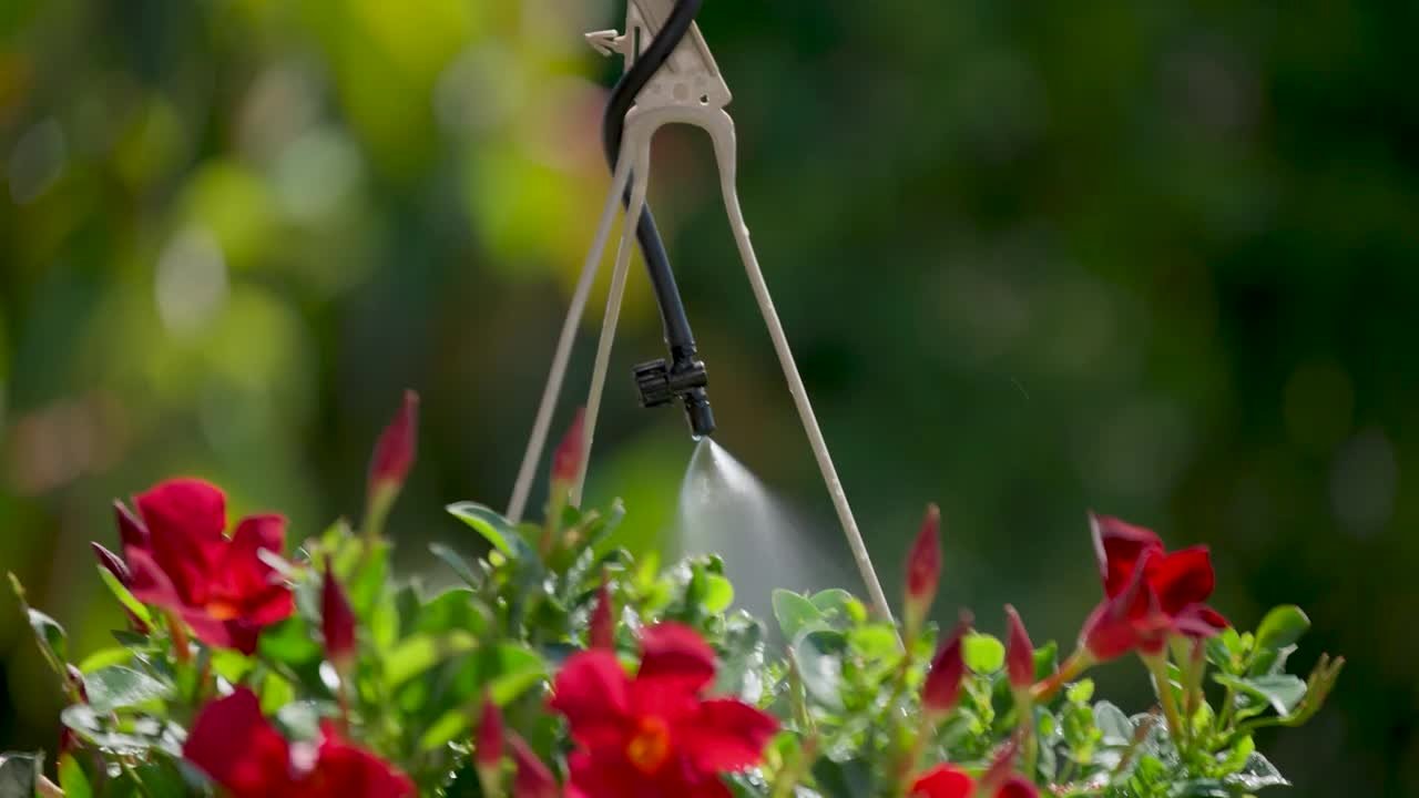 Patio Plant Watering System