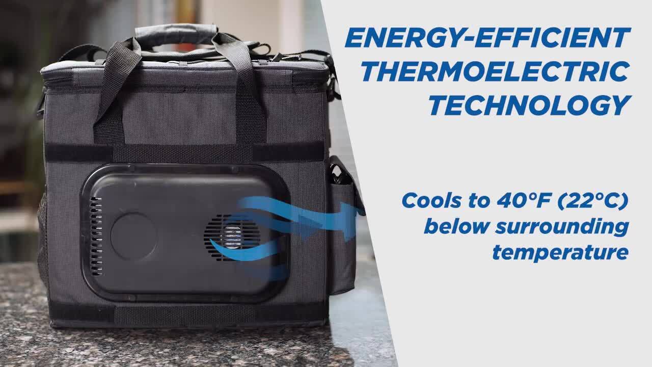 Thermoelectric cooler hot sale bag