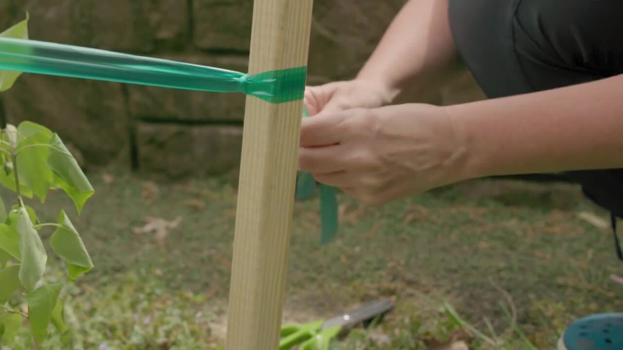 Velcro Green Garden Ties - 50 ft x 0.5 in