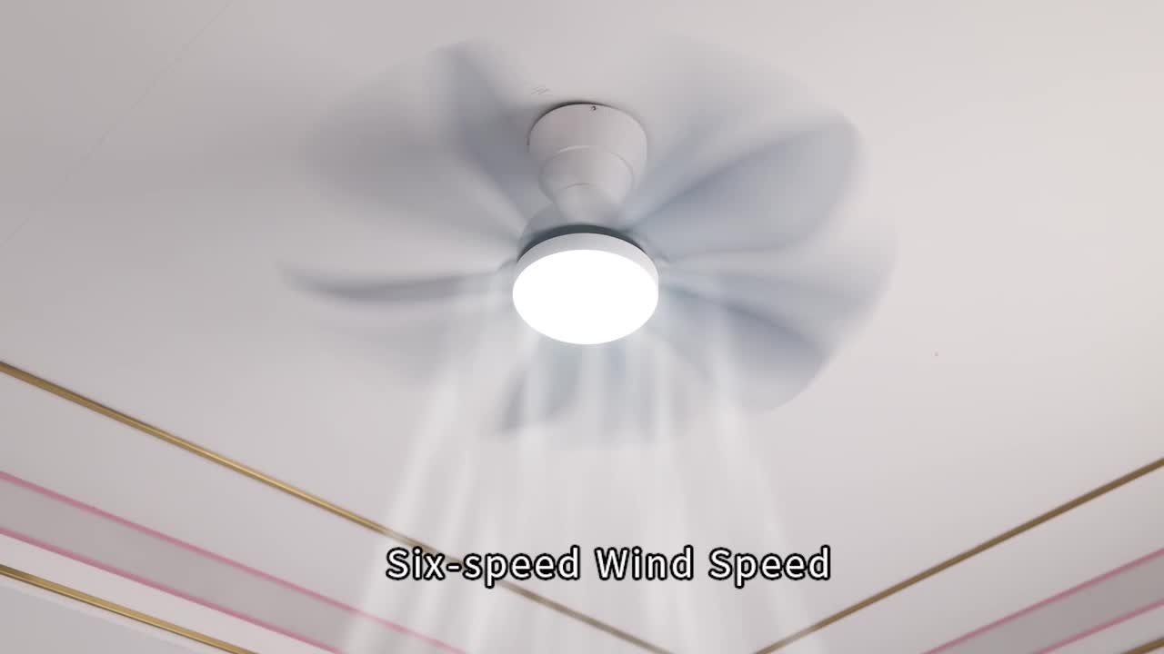 扇風機・サーキュレーター NEIGHBORHOOD 22AW SRL . SWING FAN Sofucor 29 in. Small Indoor/Outdoor Modern Ceiling Fan with 6